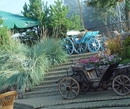 Фото Pazaislis Park
