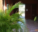 Фото Arubiana Inn