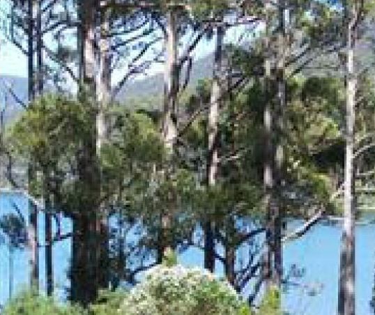 A Classic Cottage at Port Arthur