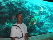 Xcaret