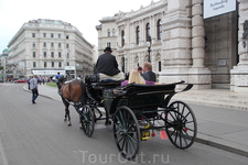Самый популярный транспорт в Вене