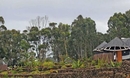 Фото Altiplanico Rapa Nui