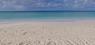 Tamarijn Aruba