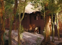Awasi