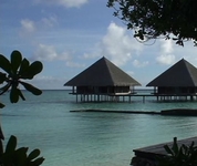 Gangehi Island Resort