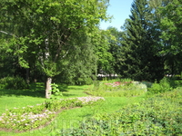 Парковые виды. Дворцовый парк Петродворца. Парковые виды. Дворцовый парк Петродворца.