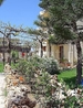 Фото Dimitra Apartments