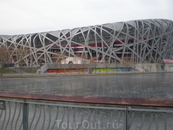 Знаменитый олимпийский объект, стадион
Птичье гнездо