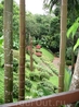 Дивные пейзажи сада королевы-матери Дой Тунг, сочетание цветов и тропического леса.