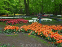 Парк Кейкенхоф в Голландии в мае 2014 года