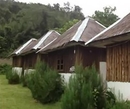 Фото Many Home