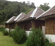 Many Home