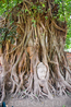 Аюттайя, знаменитая голова Будды в корнях деревьев