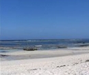 Фото SheShe Baharini Beach Hotel