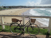 Bondi Beach