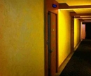 Фото Cebien