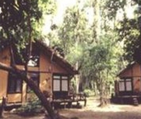 Фото отеля Machan Wildlife Resort Фото отеля Machan Wildlife Resort