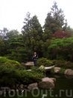 Ботанический сад. Это отделение флоры Японии.