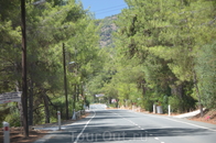 Гранд Тур – Киккос
Узнайте Кипр за один день
Если Вы хотите осмотреть практически весь остров за один день, то эта экскурсия для Вас! Она включает в ...