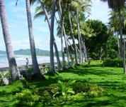 Tamarindo Diria Beach and Golf Resort