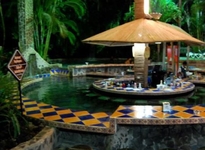 Tabacon Hot Springs Resort and SPA