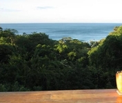 Buena Vista Surf Club