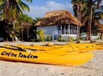 Blackbird Caye Resort