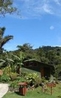Фото Monteverde Cloud Forest Lodge