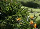 Фото Quinta Mae dos Homens Garden Village