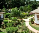 Фото Green Palm