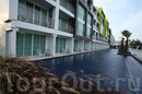 Фото Sugar Palm Karon 