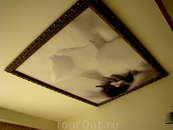 потолки украшены копиями известного фотографа...
фотографии цветов которого навевают различные аналогии))