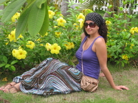 пляжная территория