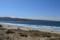 Милый городок Monterey Bay, в котором находится довольно интересный океанариум, в котором будет очень интересно детям.