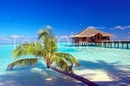 Фото Medhufushi Island Resort