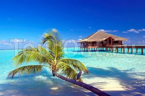 Medhufushi Island Resort