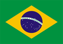 Подробности получения визы в Бразилию. Виза Бразилия