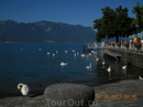 Веве. Женевское озеро.