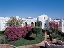 Фото Sharm Club