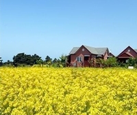 Фото отеля Ebbnsae Pension