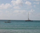 Фото Aruba500