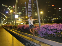 ночной сингапур