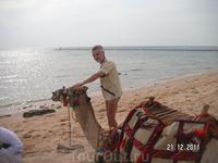 Пляж. Теперь Николай и с верблюдом дружит