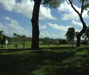 The Woods at Palmas del Mar