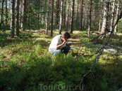 В финском лесу в поиске ягод