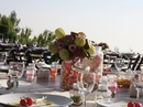Фото TerreBrune Hotel