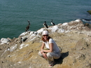 пеликаны живут практически рядом с людьми и попрошайничают рыбу....))))