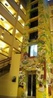 Фото Hatuchay Tower
