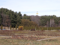 краски Долины роз в парке