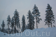 Финское зимнее утро